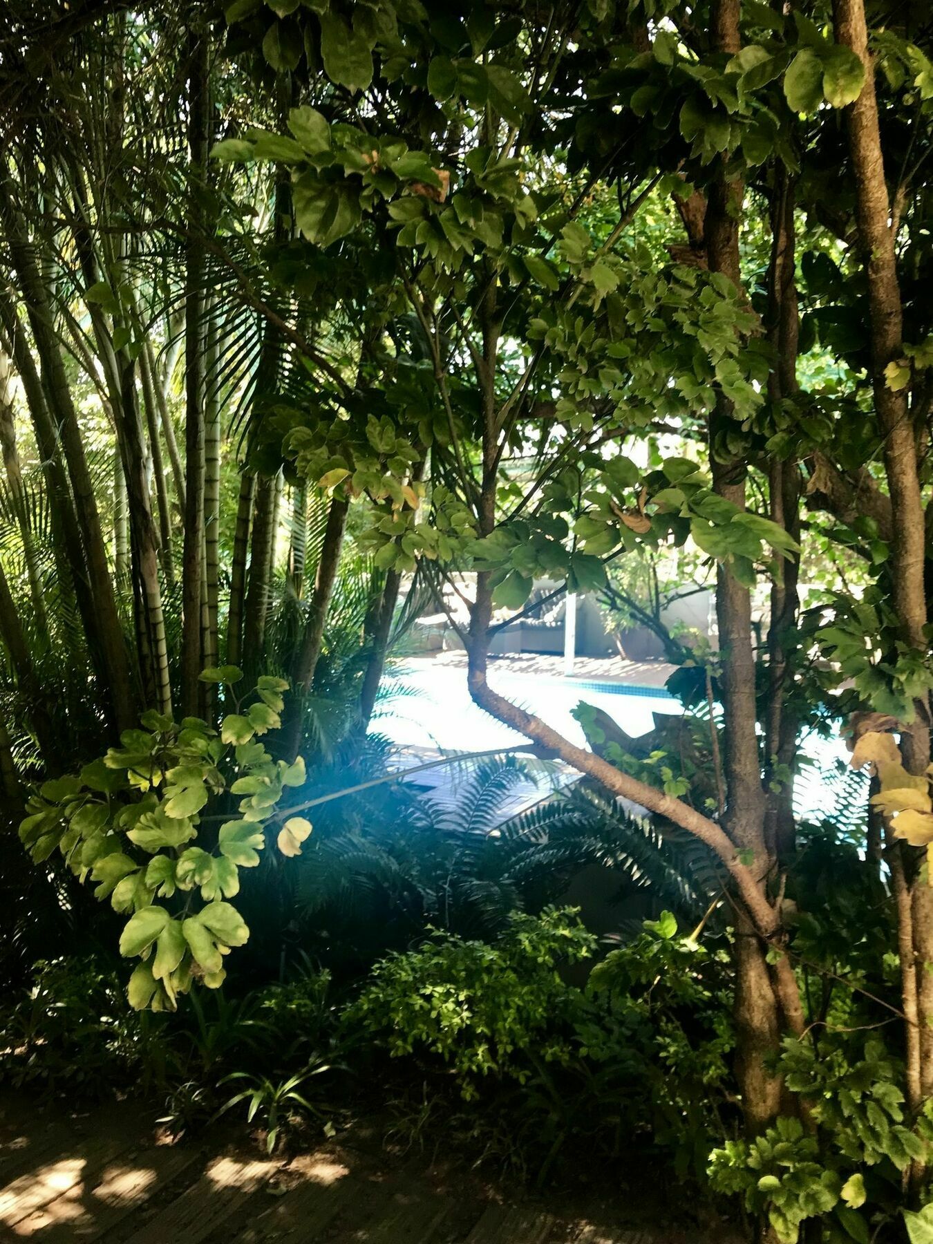 Beach Forest Lodge Ballito Extérieur photo